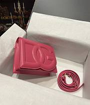 DG calfskin logo pink crossbody bag - 3