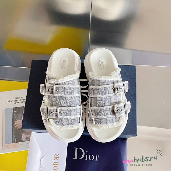 Dior H-town cactus slippers  - 1