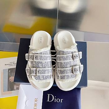 Dior H-town cactus slippers 