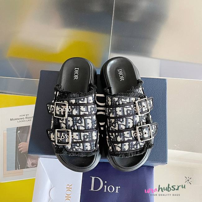 Dior H-town cactus black slippers - 1