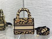 Dior lady Maria Grazia bag 17cm - 6