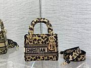 Dior lady Maria Grazia bag 17cm - 5