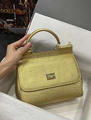 DOLCE & GABBANA Small Golden Dauphine Sicily Bag - 4