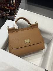 DOLCE & GABBANA Small Brown Dauphine Sicily Bag - 1