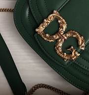 Dolce & Gabbana Green DG Amore bag - 4