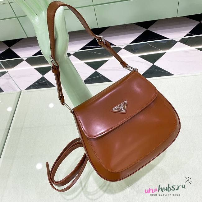 Prada Cleo in Brown Bag - 1