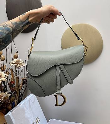 Dior Saddle Oblique Gray 26cm