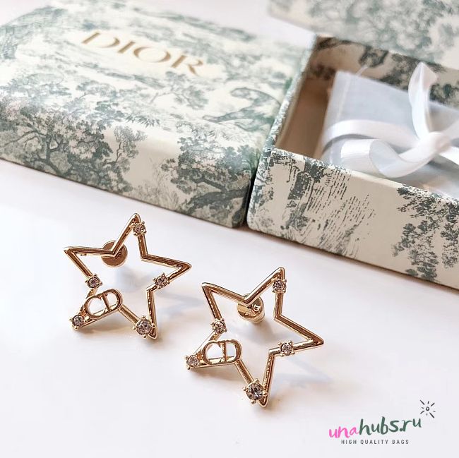 Dior star earings  - 1