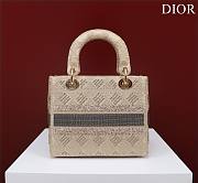 Dior beige beaded cannage embroidery bag - 5