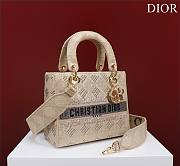 Dior beige beaded cannage embroidery bag - 3