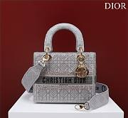 Dior gray beaded cannage embroidery bag - 1