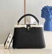 Louis Vuitton Capucines BB M59267 Black Bag - 1