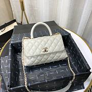 Chanel Coco Grained Calfskin Gray Flap Bag 24cm  - 1