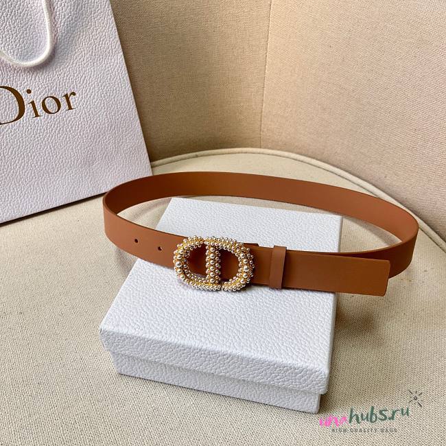 Dior pink belt 3cm - 1