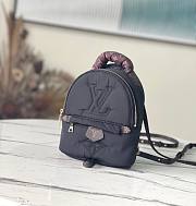 Louis Vuitton Palm Spring mini black backpack M21060 - 1