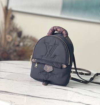 Louis Vuitton Palm Spring mini black backpack M21060