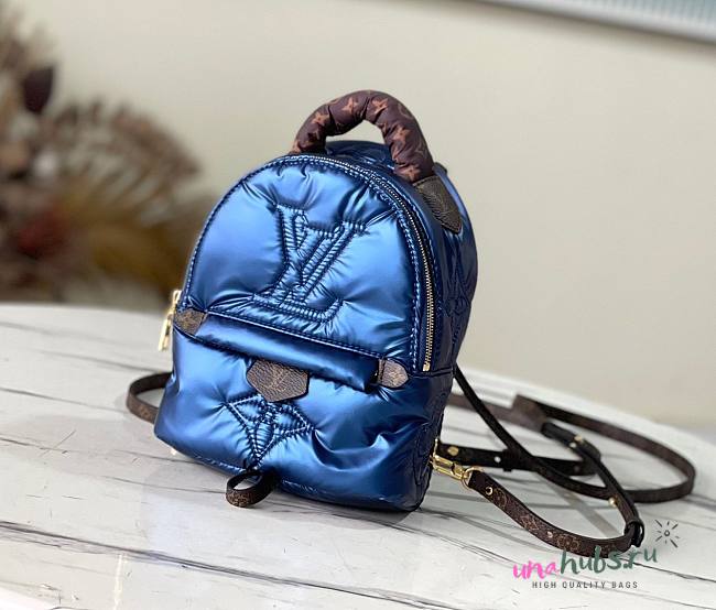 Louis Vuitton Palm Spring mini backpack M21060  - 1