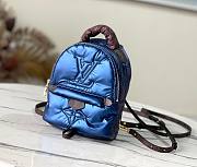 Louis Vuitton Palm Spring mini backpack M21060  - 1