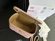 Chanel Vantiy Case Pink Leather Bag - 4