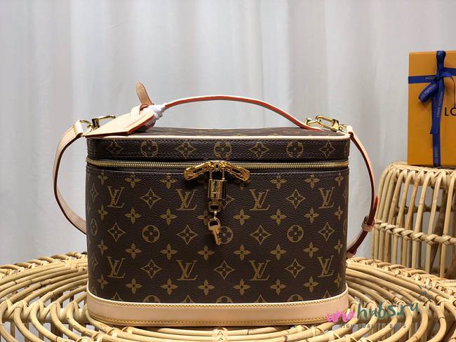 Louis Vuitton Vanity Nice Cosmetic GM Bag - 1