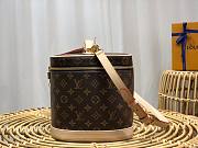 Louis Vuitton Vanity Nice Cosmetic GM Bag - 5