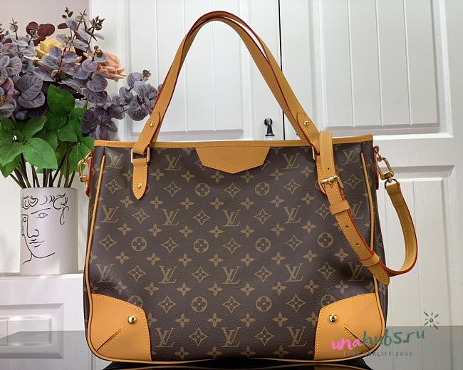 Louis Vuitton ESTRELA Bag - 1