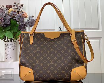 Louis Vuitton ESTRELA Bag