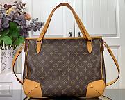 Louis Vuitton ESTRELA Bag - 6