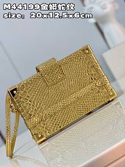 Louis Vuitton Petite Malle Python Gold Leather N80113 Bag - 3