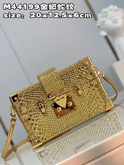 Louis Vuitton Petite Malle Python Gold Leather N80113 Bag - 4