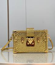 Louis Vuitton Petite Malle Python Gold Leather N80113 Bag - 1