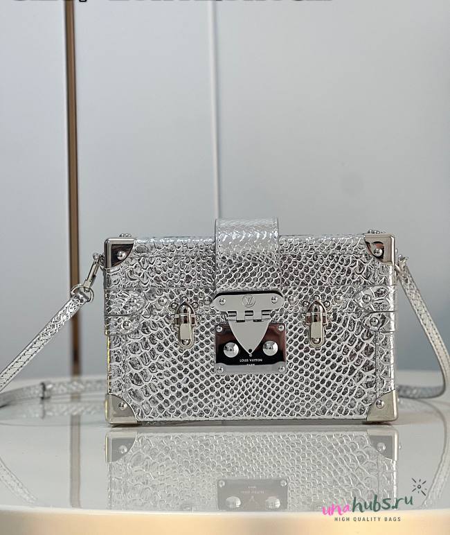 Louis Vuitton Petite Malle Python Silver Leather N80113 Bag - 1