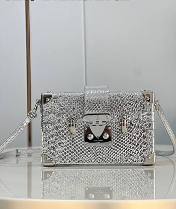 Louis Vuitton Petite Malle Python Silver Leather N80113 Bag