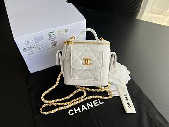 Chanel Cargo Vanity Mini White Bag 