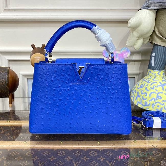 Louis Vuitton Capucines Blue Ostrich leather PM/MM bag - 1