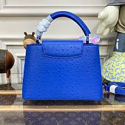 Louis Vuitton Capucines Blue Ostrich leather PM/MM bag - 6