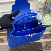 Louis Vuitton Capucines Blue Ostrich leather PM/MM bag - 4