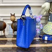 Louis Vuitton Capucines Blue Ostrich leather PM/MM bag - 5