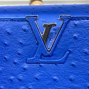 Louis Vuitton Capucines Blue Ostrich leather PM/MM bag - 2