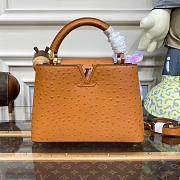 Louis Vuitton Capucines Brown Ostrich leather PM/MM bag - 1