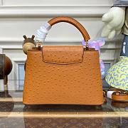 Louis Vuitton Capucines Brown Ostrich leather PM/MM bag - 3