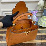 Louis Vuitton Capucines Brown Ostrich leather PM/MM bag - 4