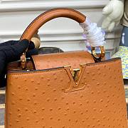 Louis Vuitton Capucines Brown Ostrich leather PM/MM bag - 2