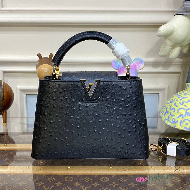 Louis Vuitton Capucines Black Ostrich leather PM/MM bag - 1