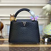 Louis Vuitton Capucines Black Ostrich leather PM/MM bag - 1