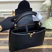 Louis Vuitton Capucines Black Ostrich leather PM/MM bag - 6