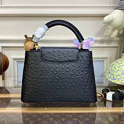 Louis Vuitton Capucines Black Ostrich leather PM/MM bag - 2