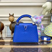 Louis Vuitton Capucines Blue Ostrich leather mini bag  - 1