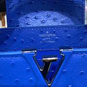 Louis Vuitton Capucines Blue Ostrich leather mini bag  - 4