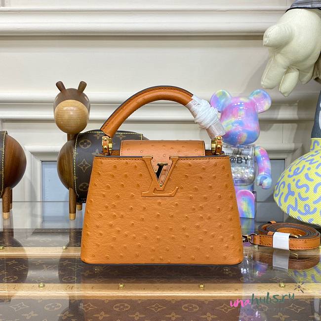 Louis Vuitton Capucines Brown Ostrich leather mini bag - 1